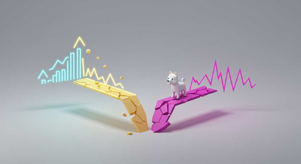 Risks and opportunities for Kishu Inu investors